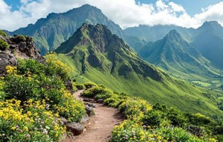 Mountain Escapes